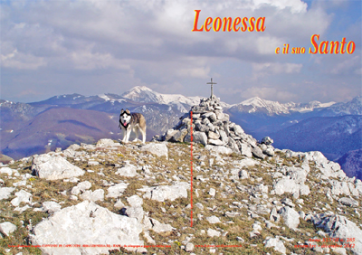 ingrandisci la copertina