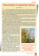 scarica l'editoriale in formato pdf