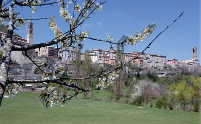 foto collecollato innevato