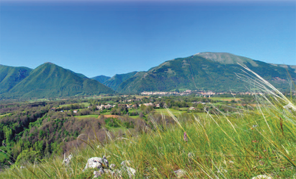Leonessa