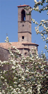 Leonessa