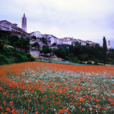 Leonessa - panorama 