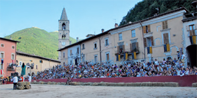 palio del Velluto 2011