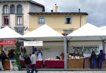 foto stands sagra patata