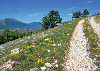 strada Colle la Croce